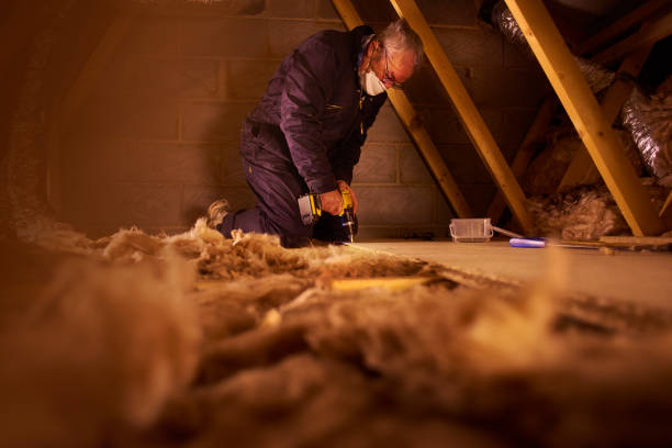 Professional Insulation Contractor in MI